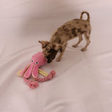 Hundespielzeug, Quietschendes Hundespielzeug, Tintenfisch Hundespielzeug, Rosa Hundespielzeug, Vlies Hundespielzeug, Interaktives Hundespielzeug, Kauspielzeug für Hunde, Weiches Hundespielzeug, Hunde Quietschspielzeug, Kuscheliges Hundespielzeug, Quietschender Tintenfisch, Rosa Tintenfisch Spielzeug, Hundespielzeug mit Quietsche, Vlies Tintenfisch Spielzeug, Spielzeug für kleine Hunde, Spielzeug für große Hunde, Quietschender Tintenfisch aus Vlies, Hunde Quietsch Tintenfisch, DogFreund,Haustierbedarf