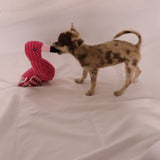 Flamingo,Hundespielzeug,Quietsch,interaktiv,robust,Zerrspiel,Kauspielzeug,kuschelig,Hunde,Plüsch,Seilbeine,kleineHunde,mittelgroßeHunde,Zahnpflege,spaßig,langlebig,strapazierfähig,Kauen,ziehen,bissfest,Spielzeit,Hundeunterhaltung,Beschäftigung,Belohnungssystem,Zahnreinigung,welpenfreundlich,leicht,tragbar,quietschend,Apportieren,Hundeaktivität,Zerrspaß,Haustierbedarf,Leckerli,Zahnfleischmassage,Training,freundlich,Hundebedarf,Hundeerziehung,Beißvergnügen,Hundebesitzer,Hundeausrüstung,Geschenkidee,DogFreund