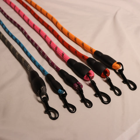 Hundeleine, Nylon Hundeleine, Reflektierende Hundeleine, Sicherheitsleine, Leine für Hunde, Reflektierende Nylonleinen, Hundeleine mit Reflexstreifen, Langlebige Hundeleine, Nylon Leine, Sicherheitsleinen für Hunde, Reflektierende Leine, Robuste Hundeleine, Reflektierende Hundeleinen, Komfortable Hundeleine, Hochwertige Nylonleine, Nylon-Leine mit Reflex, Reflektierende Leine für Hunde, Hundeleine für Sicherheit, Nacht sichtbare Hundeleine, DogFreund