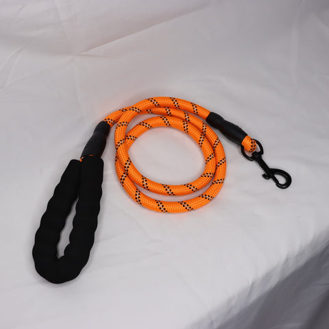 Hundeleine, Nylon Hundeleine, Reflektierende Hundeleine, Sicherheitsleine, Leine für Hunde, Reflektierende Nylonleinen, Hundeleine mit Reflexstreifen, Langlebige Hundeleine, Nylon Leine, Sicherheitsleinen für Hunde, Reflektierende Leine, Robuste Hundeleine, Reflektierende Hundeleinen, Komfortable Hundeleine, Hochwertige Nylonleine, Nylon-Leine mit Reflex, Reflektierende Leine für Hunde, Hundeleine für Sicherheit, Nacht sichtbare Hundeleine, DogFreund