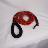 Hundeleine, Nylon Hundeleine, Reflektierende Hundeleine, Sicherheitsleine, Leine für Hunde, Reflektierende Nylonleinen, Hundeleine mit Reflexstreifen, Langlebige Hundeleine, Nylon Leine, Sicherheitsleinen für Hunde, Reflektierende Leine, Robuste Hundeleine, Reflektierende Hundeleinen, Komfortable Hundeleine, Hochwertige Nylonleine, Nylon-Leine mit Reflex, Reflektierende Leine für Hunde, Hundeleine für Sicherheit, Nacht sichtbare Hundeleine, DogFreund