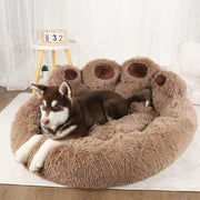 Haustierbett, Hai-Bett, Haustier-Hai-Design, Hunde-Bett, Katzen-Bett, Haiform, Schlafplatz für Haustiere, Komfortbett, Haustier-Komfort, Lustiges Haustierbett, Tierbett, Hai-Design, Haustier-Luxus, Schlafplatz, Kreatives Bett, Gemütliches Bett, Haustiermöbel, Einzigartiges Bett, Tierbett-Design, Haustierbedarf, Modernes Bett, Haustier-Schlafplatz, Haustier-Schlafkomfort, Haifisch-Bett, Komfortzone für Tiere, Trendiges Haustierbett, Haustier-Schlafmöbel, Haustier-Accessoires, Haiförmiges Bett